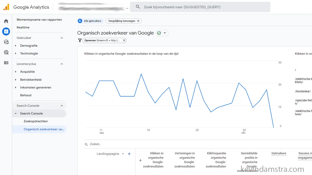 Google Analytics - Rapporten - Organisch zoekverkeer