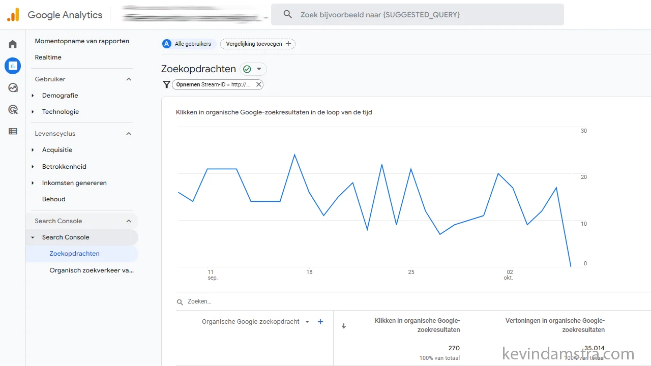 Google Analytics - Rapporten - Zoekopdrachten